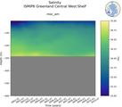 Time series of ISMIP6 Greenland Central West Shelf Salinity vs depth